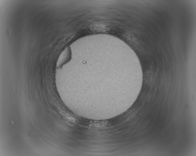 X0000080761201200701051227