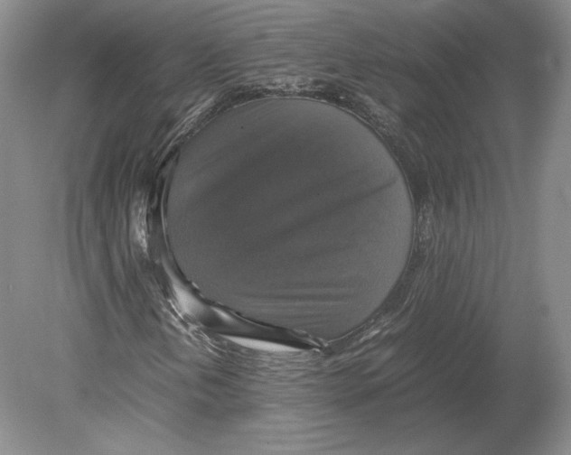 X0000080761202200701051227