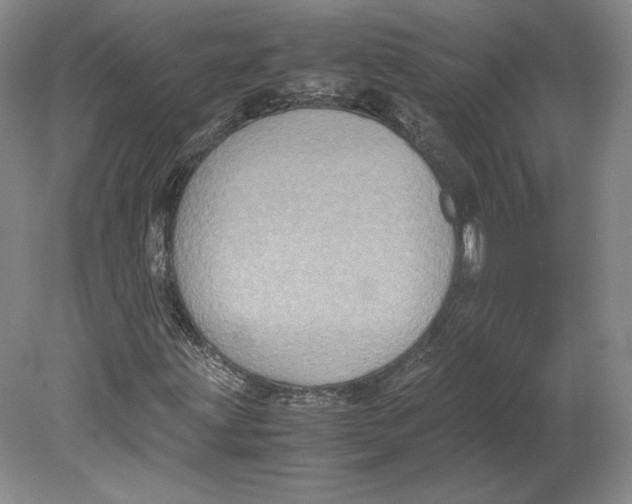 X0000080761203200701051227