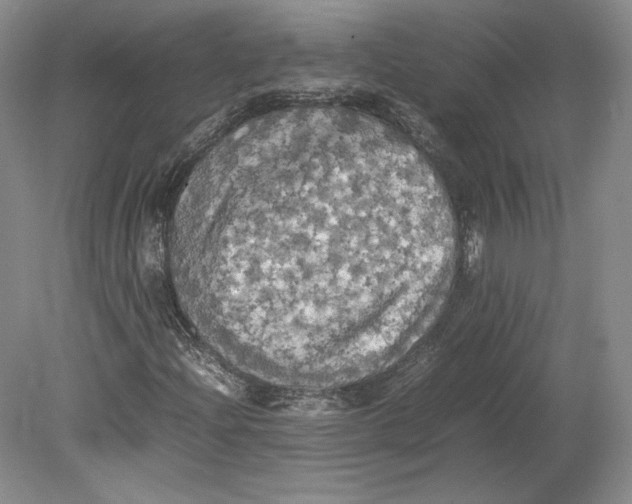 X0000080761204200701051227