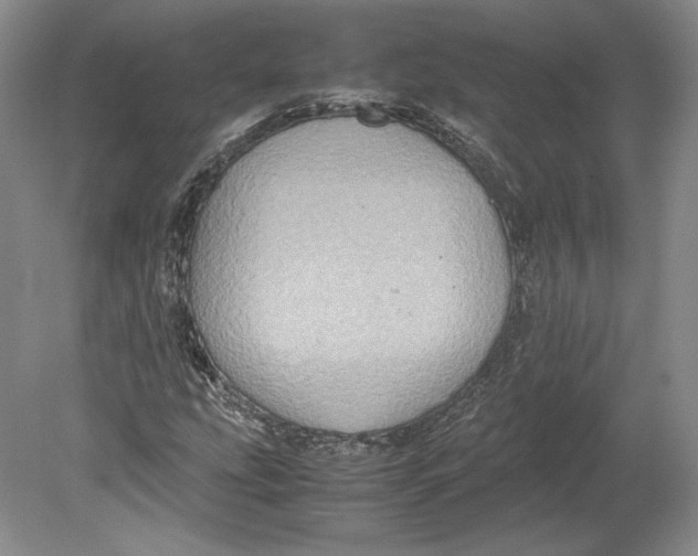 X0000080761207200701051227