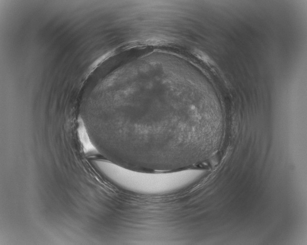 X0000080761210200701051227
