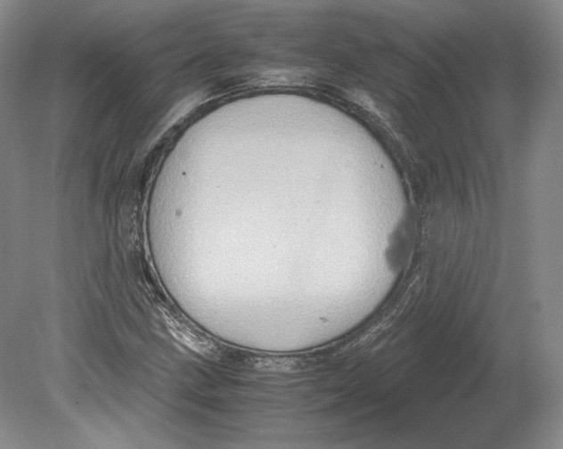 X0000080761211200701051227