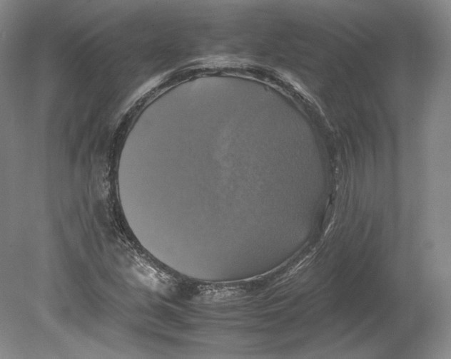 X0000080761213200701051227