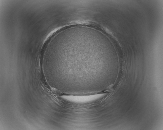 X0000080761214200701051227
