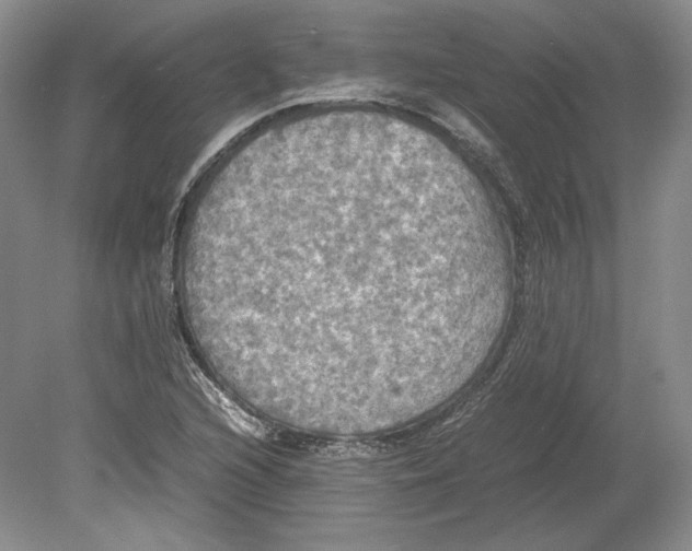 X0000080761216200701051227