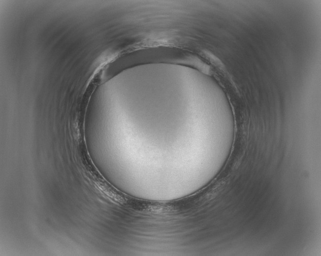 X0000080761218200701051227