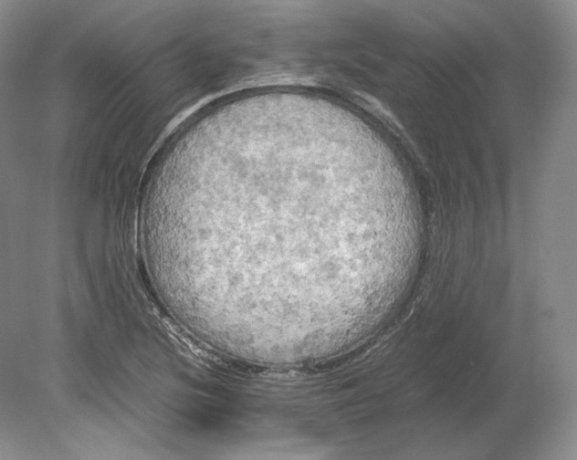 X0000080761220200701051227