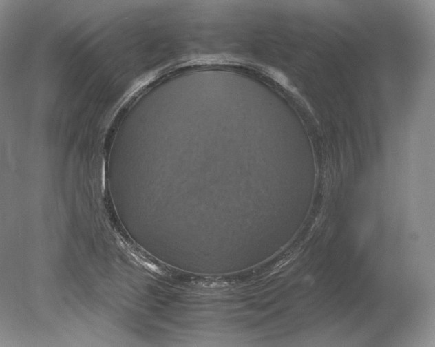 X0000080761221200701051227