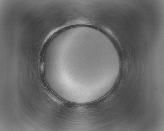 X0000080761222200701051227