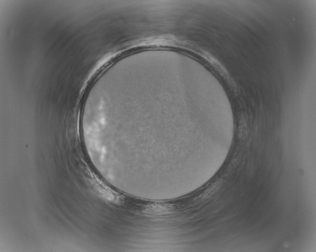 X0000080761224200701051227