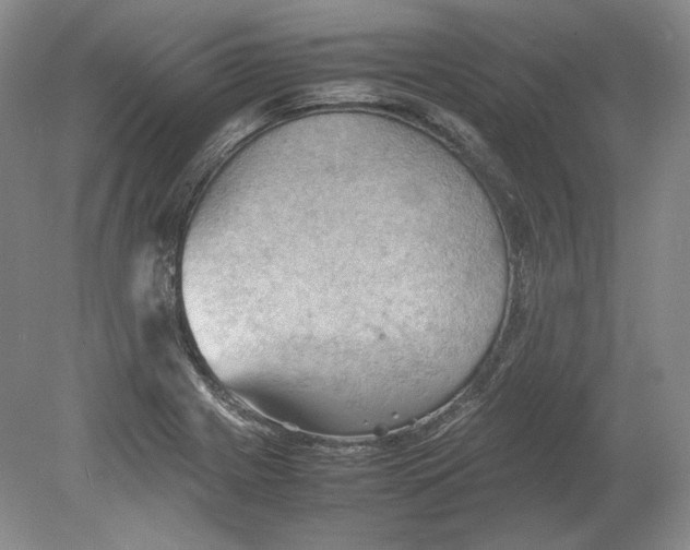 X0000080761225200701051227