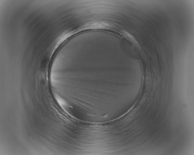 X0000080761226200701051227