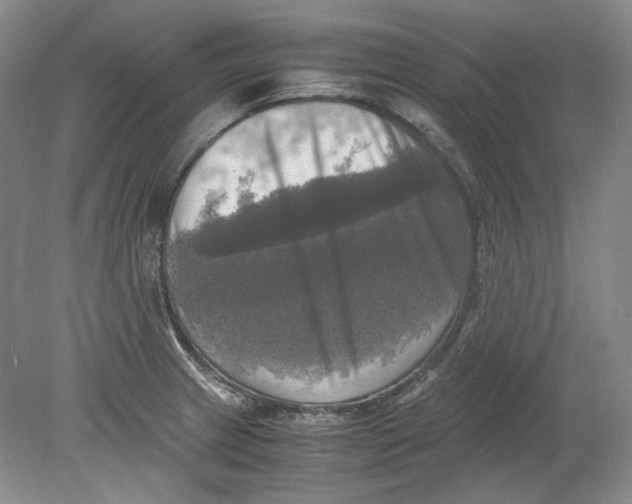 X0000080761233200701051228