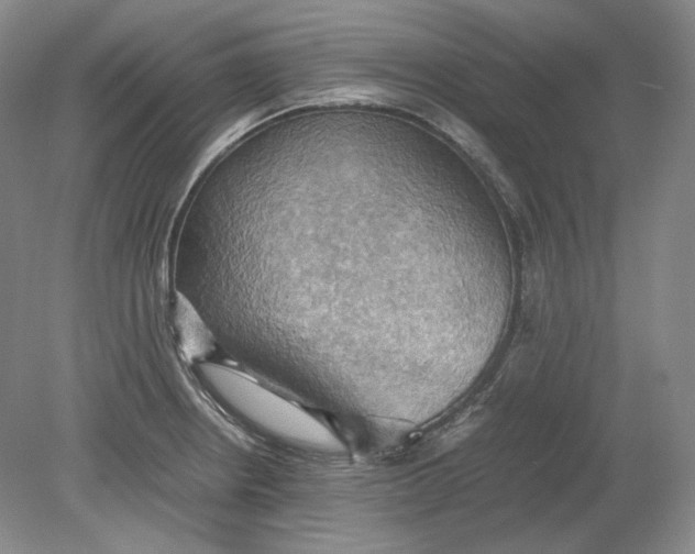 X0000080761234200701051228