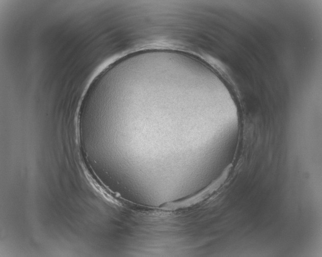 X0000080761238200701051228