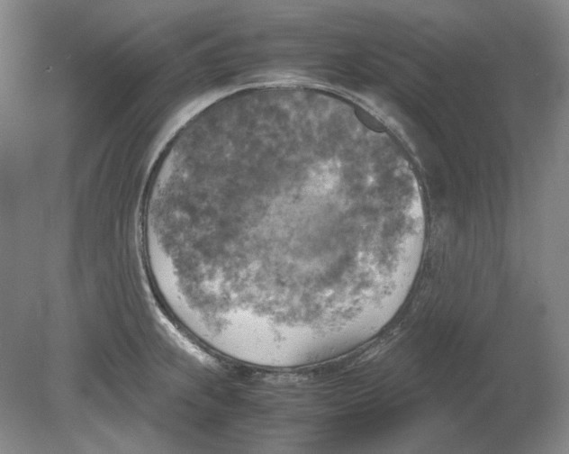 X0000080761239200701051228