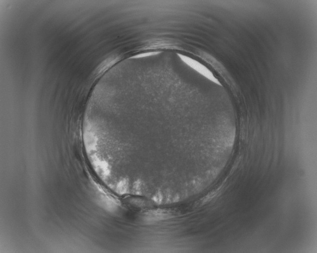 X0000080761241200701051228