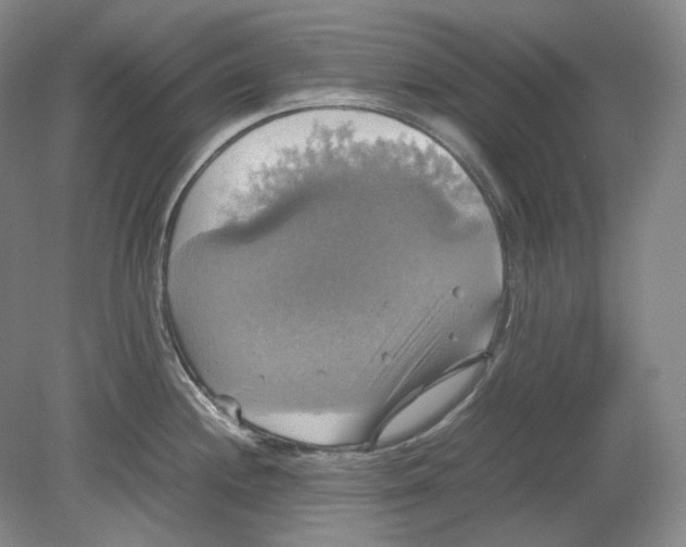 X0000080761244200701051228