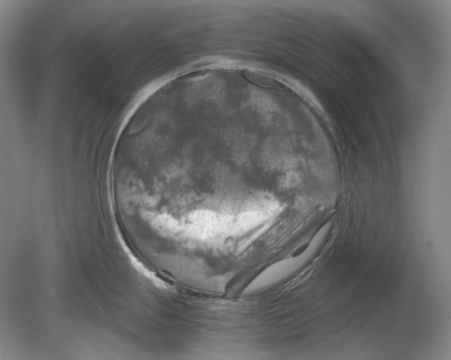 X0000080761247200701051228