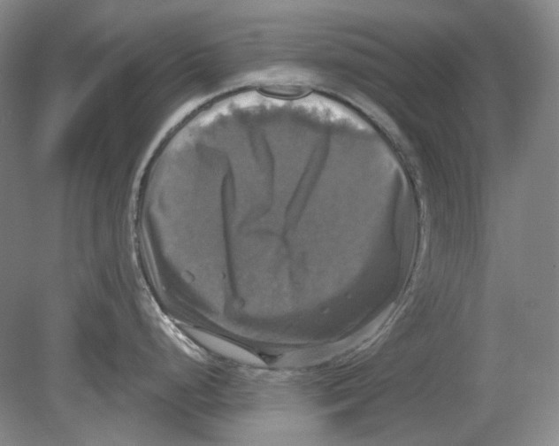 X0000080761248200701051228