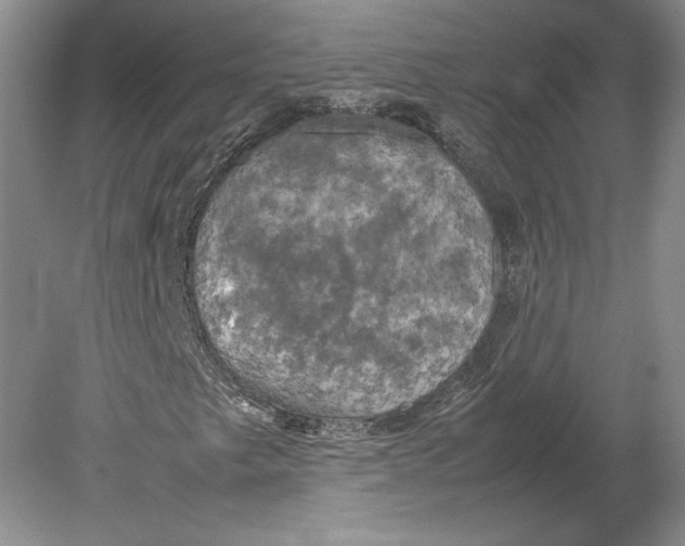 X0000080761249200701051227
