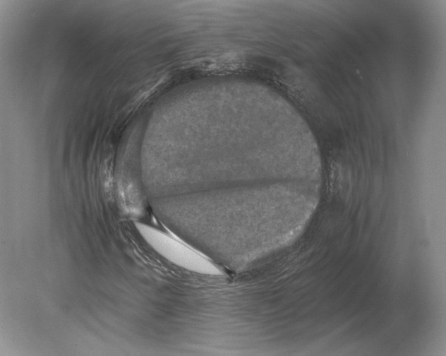 X0000080761250200701051227