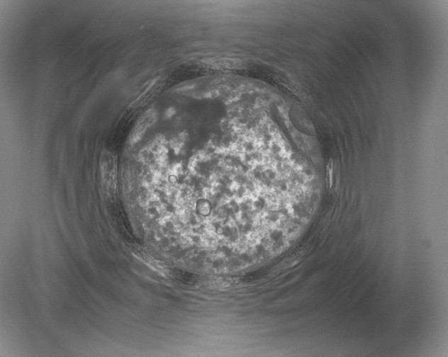 X0000080761251200701051227