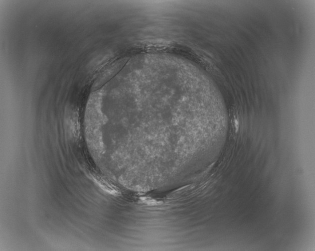 X0000080761252200701051227