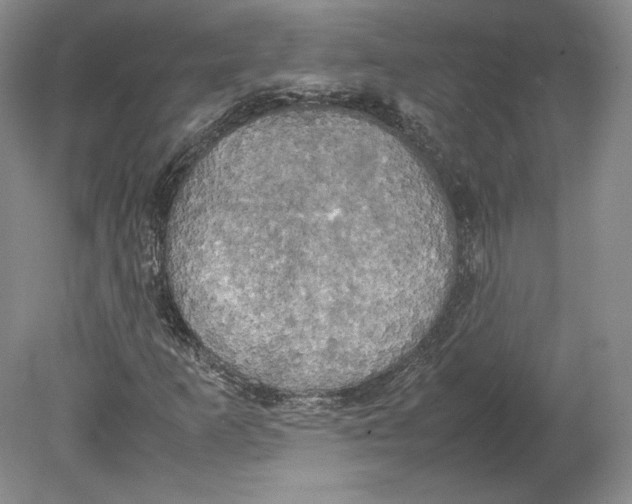 X0000080761253200701051227