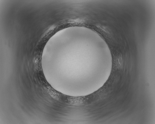 X0000080761254200701051227