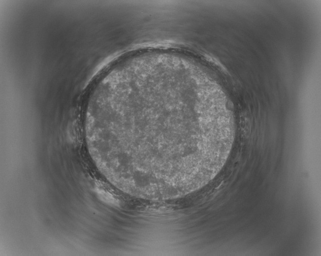 X0000080761256200701051227
