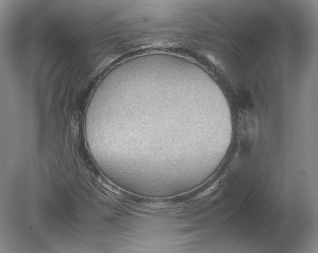 X0000080761257200701051227