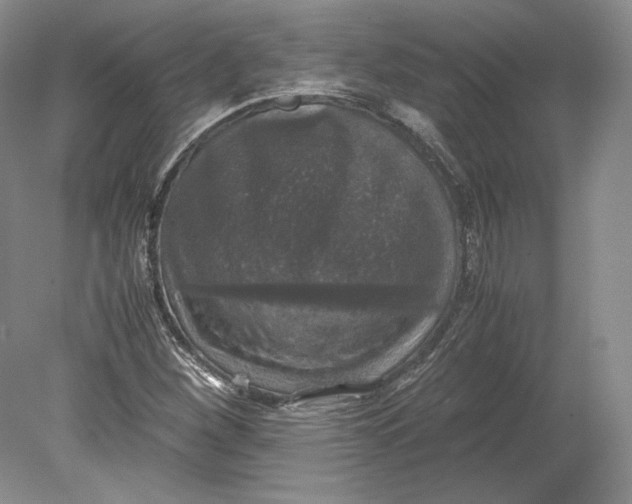X0000080761260200701051227