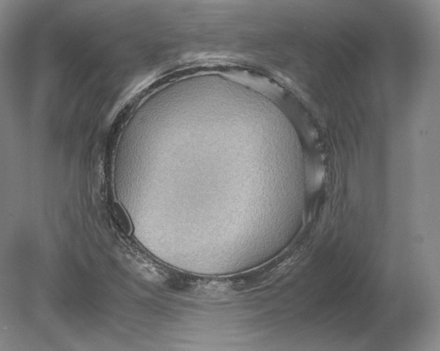 X0000080761261200701051227