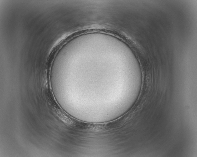 X0000080761262200701051227