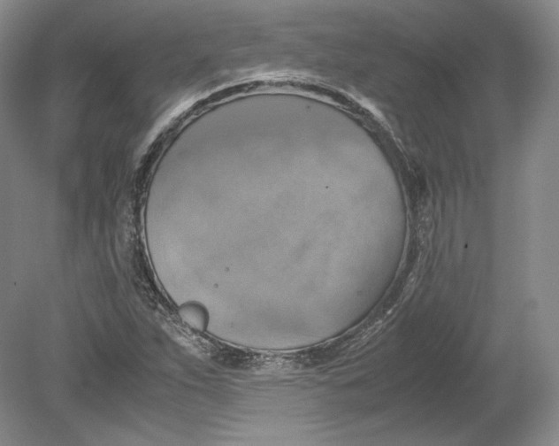 X0000080761263200701051227