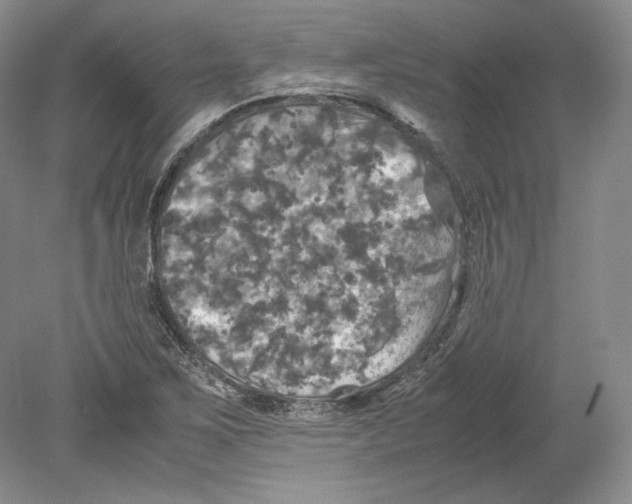X0000080761267200701051227
