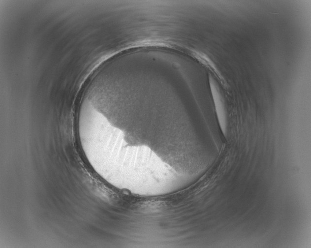 X0000080761268200701051227