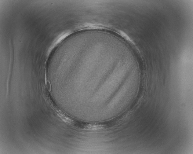 X0000080761269200701051227