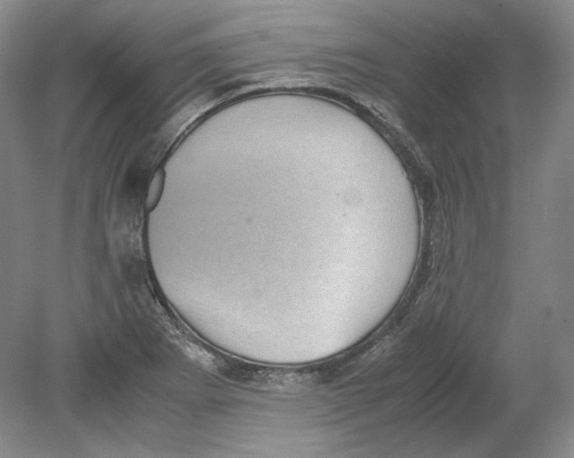 X0000080761273200701051227
