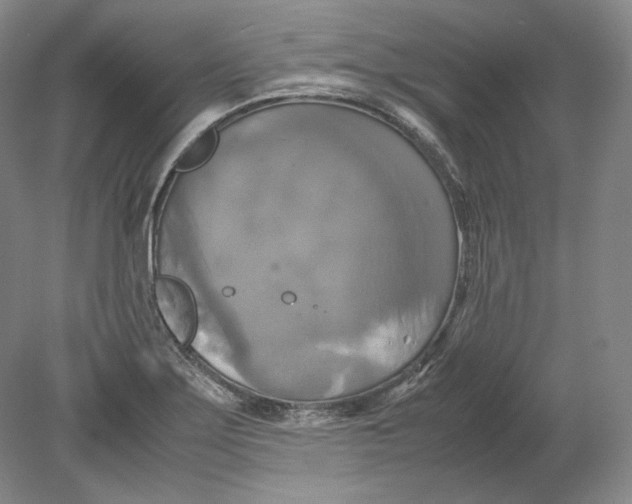 X0000080761275200701051227