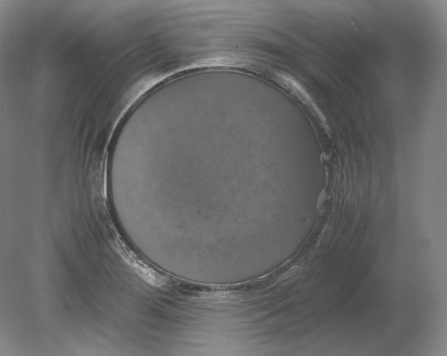 X0000080761276200701051227