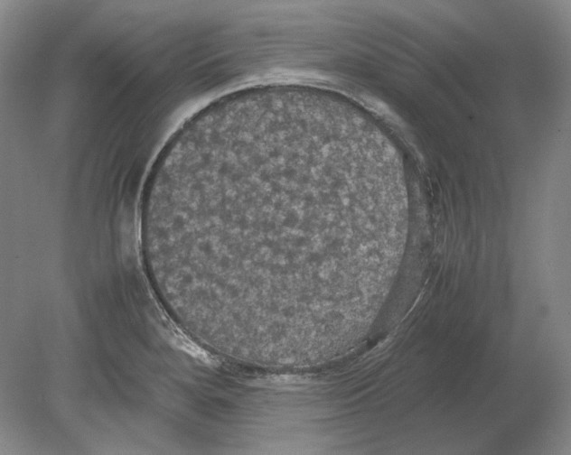 X0000080761280200701051226