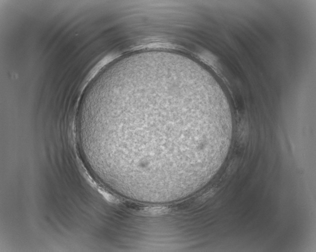 X0000080761282200701051226