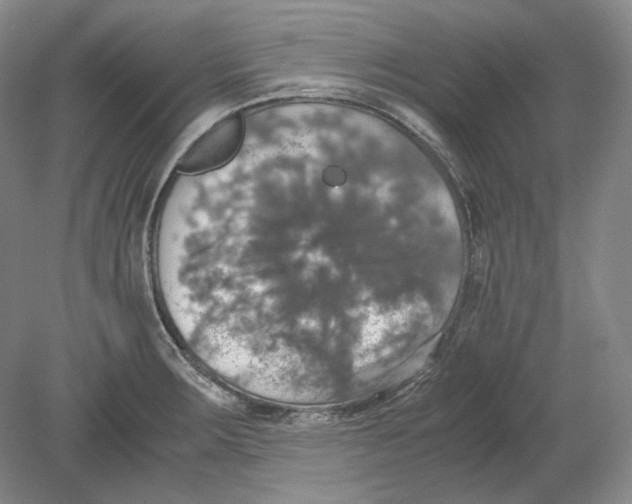 X0000080761283200701051226
