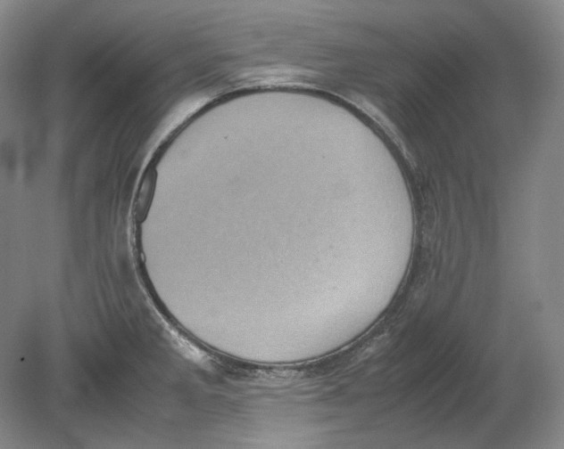 X0000080761285200701051226
