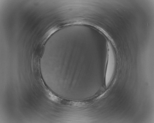 X0000080761289200701051226