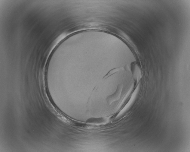 X0000080761291200701051226