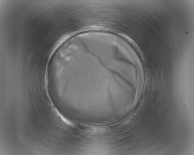 X0000080761294200701051226